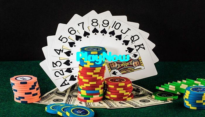 PlayNow خوش آمدید بونس +600% پیشکش موبائل ایپ کے پروموشن سیکشن میں دکھائی دیتی ہے۔